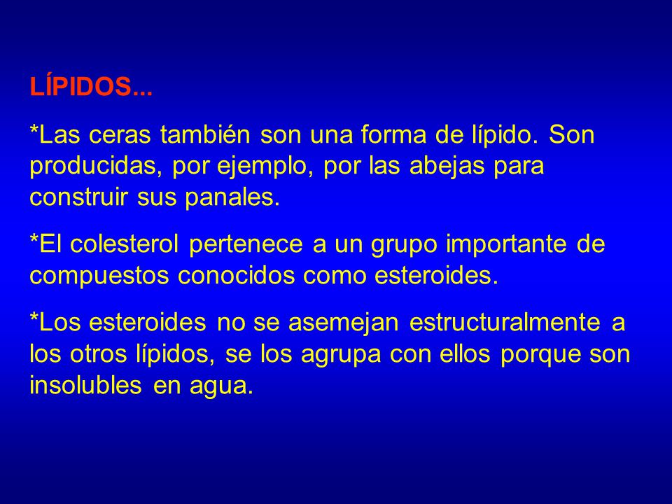 Como emplear correctamente el agua que adelgazar